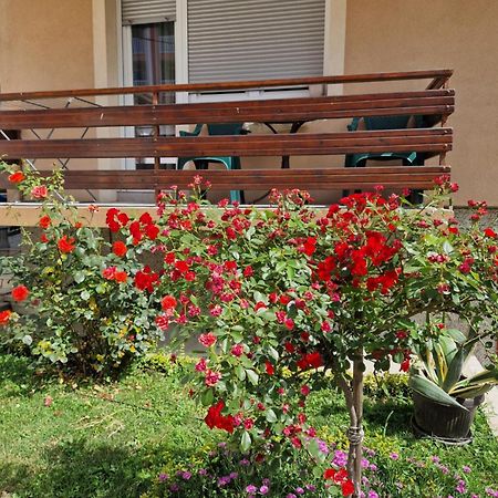 Guesthouse Irac Tuzla Exterior photo